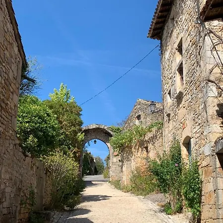 La Maison Des Ecureuils - Bruniquel Exterior photo